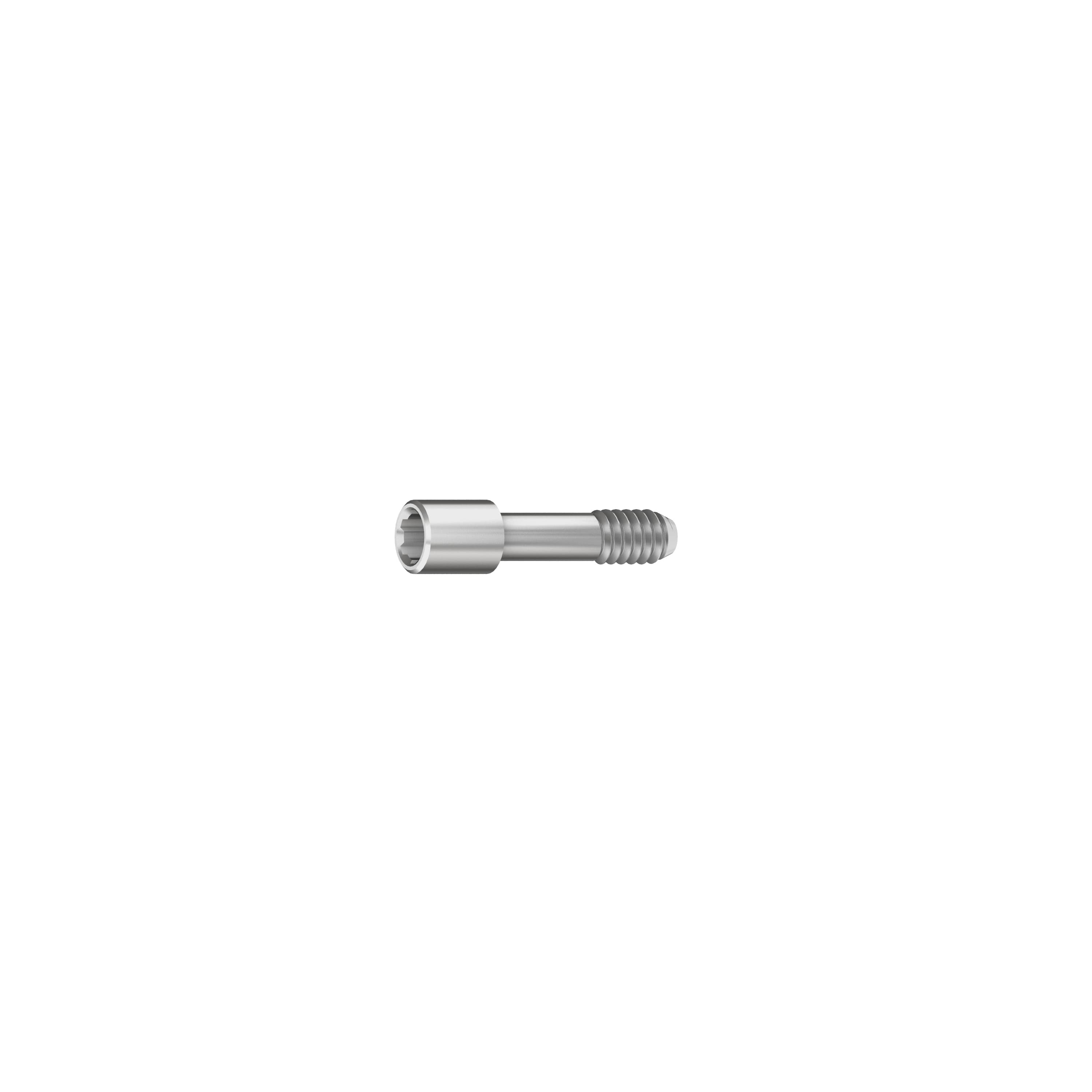 NP Abutment Screw
