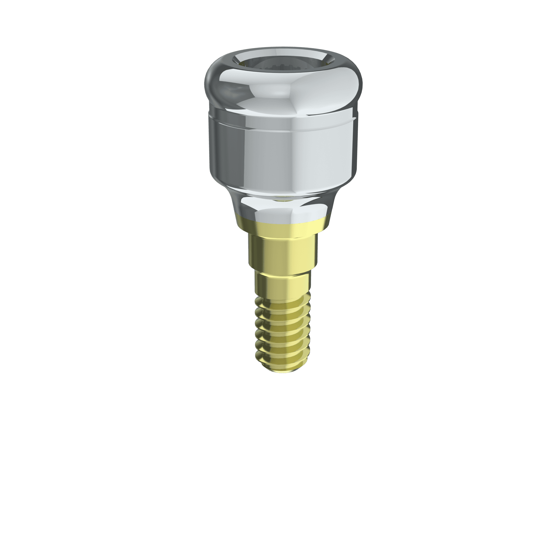 Grip NP Abutment 2mm