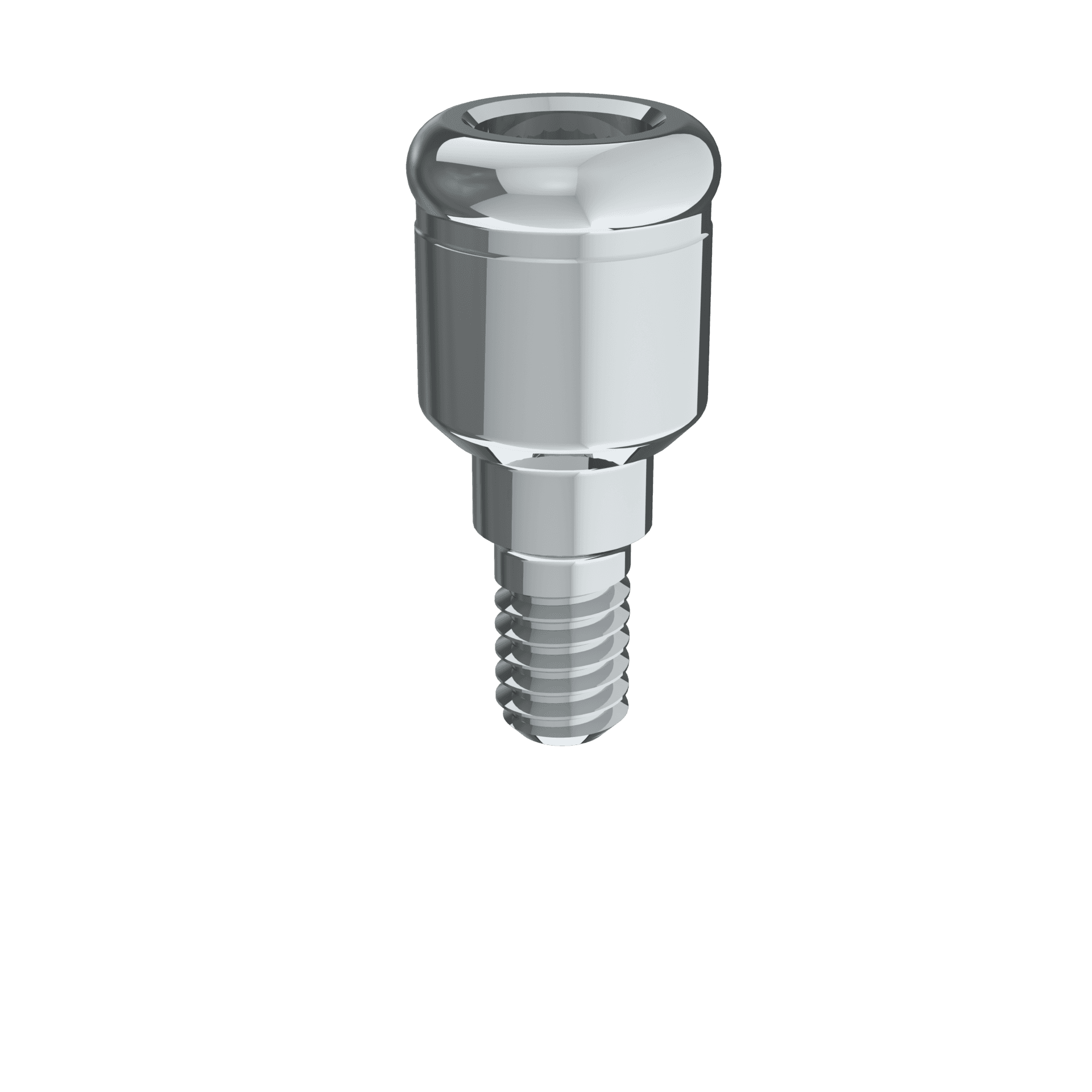 Grip RS Abutment 2mm