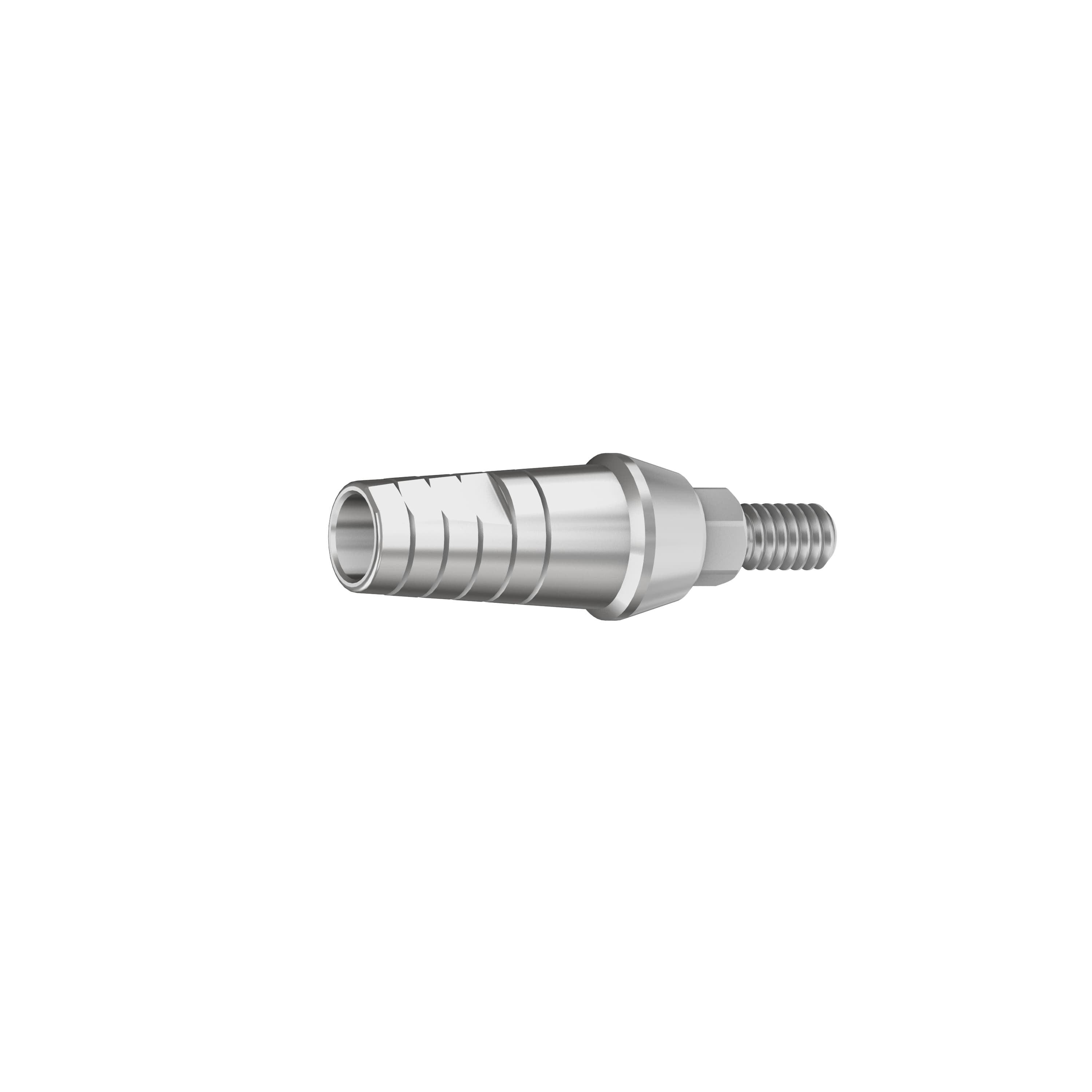 RS Straight Titanium Abutment 2mm