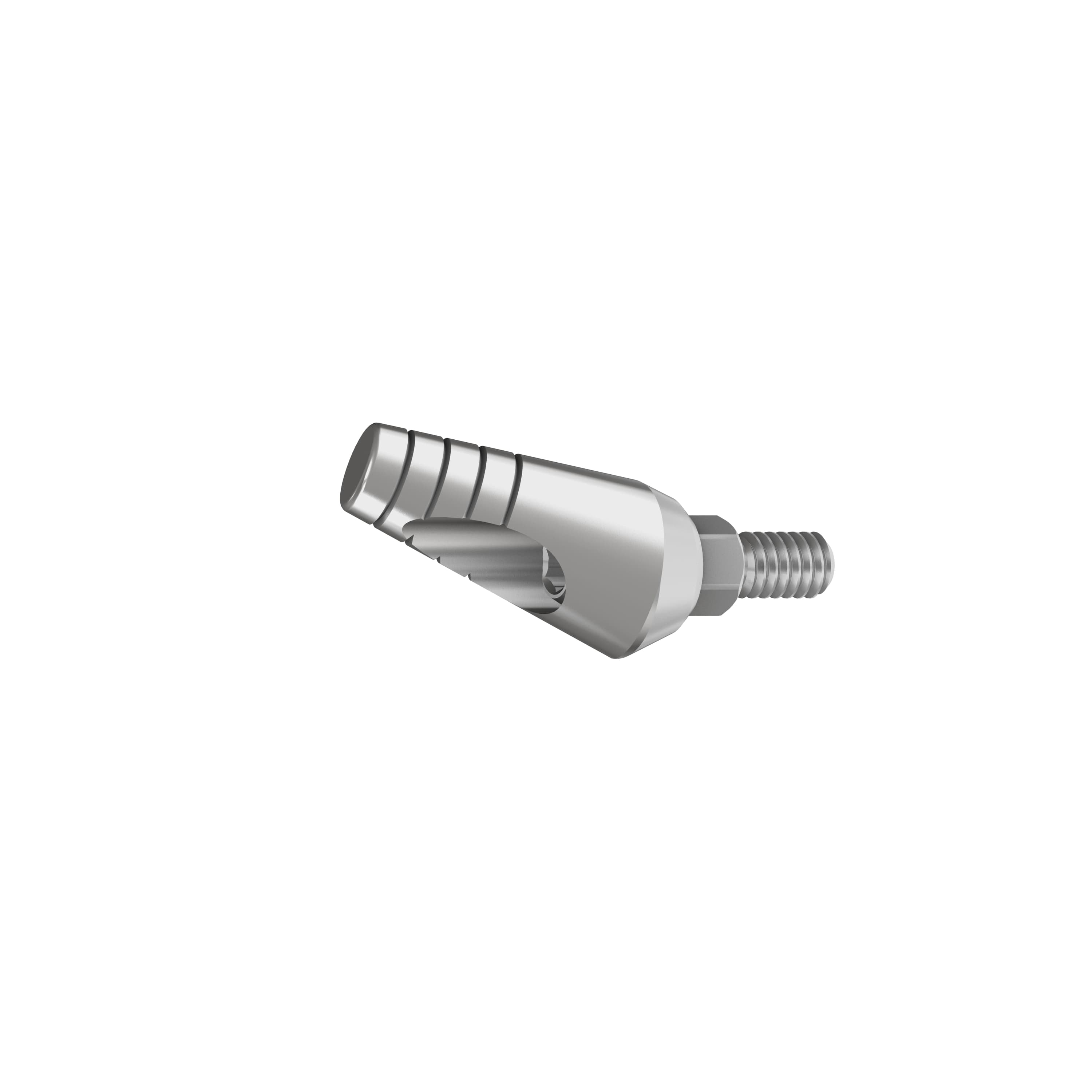 RS Angled Titanium Abutment 25º