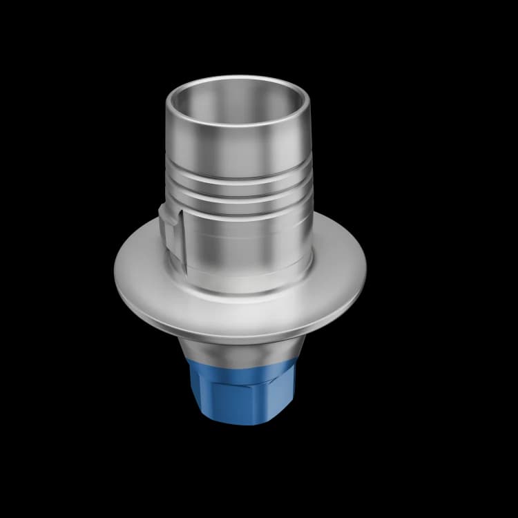 C-Type Ti Base WP Abutment 2mm Engaged